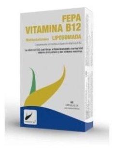 Fepa-Vitamina B12 Liposomada 40Cap. de Fepadiet