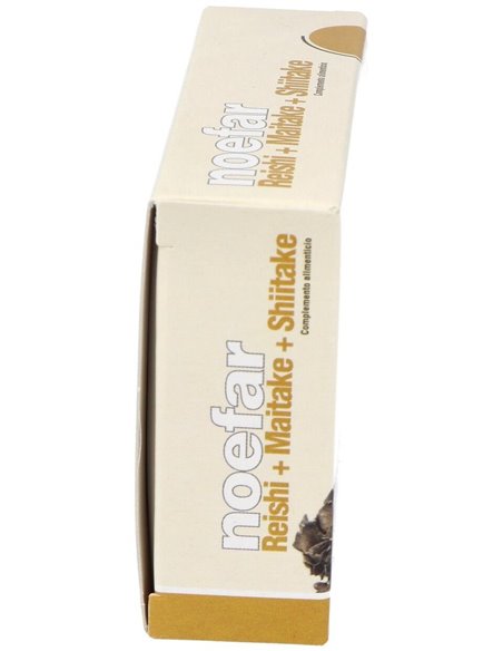 Rapidgas Plus Capsulas-30 Cápsulas de Noefar