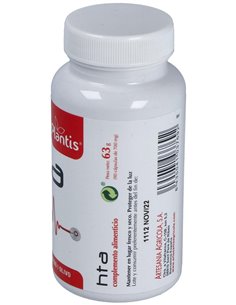 Hta Plantis 90 Cap. de Artesania
