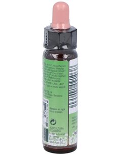 Nº4 Tem. Inseguridades Eco10Ml de Artesania