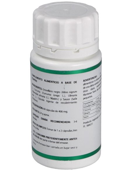 Holofit Flavonoides (Antiinflamatorio) 60Cap. de Equisalud