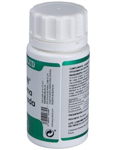 Holofit Curcuma Fitosomada 50 Cap de Equisalud