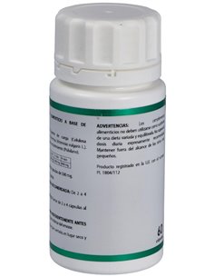 Holofit Artemisa 60Cap. de Equisalud