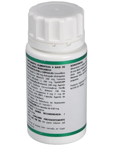 Holofit Grosellero 60Cap. de Equisalud