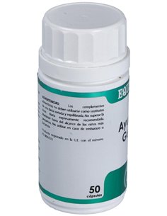 Holofit Ayurveda Guggul 50Cap. de Equisalud