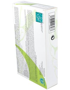 Holomega Brainet 20Amp. de Equisalud