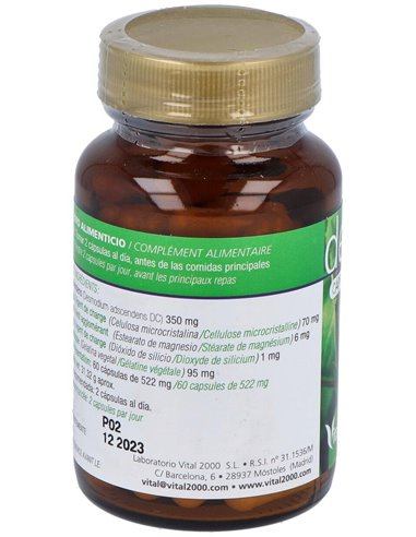 Desmodium 60Cap. de Vital 2000