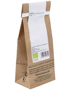 Te Kukicha Bolsa 50Gr. de Josenea