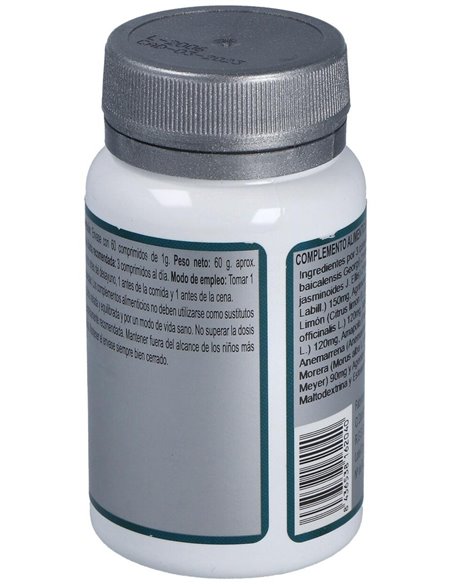 Base 2P 60Comp. de Erlingen