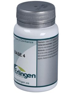 Base 4 60Comp. de Erlingen