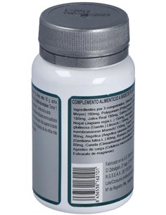 Base 6 60Comp. de Erlingen