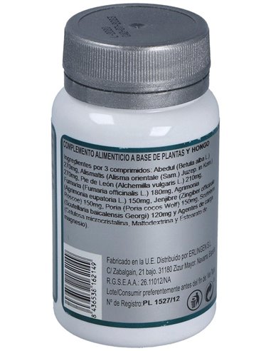 Base 10 60Comp. de Erlingen