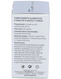 Base 14 60Comp. de Erlingen