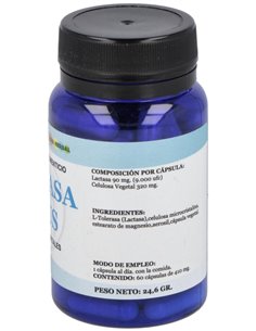 Lactasa Plus 60Cap. de Alfa Herbal