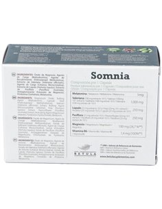 Somnia 30Cap. de Betula