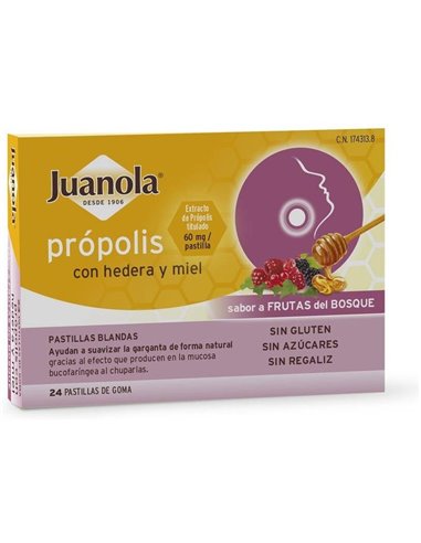 Juanola Past Propolis Hedera-Miel-Frut Bosque 24Ud de Juanola