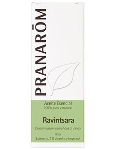 Ravintsara Hoja 10 Ml de Pranarom