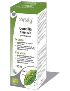 Ext. Te Verde (Camelia Sinensis) 100Ml. Bio de Physalis