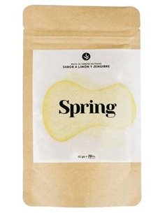 Spring Recarga Dentifrico Limon 120Gr. Eco Vegan de Banbu