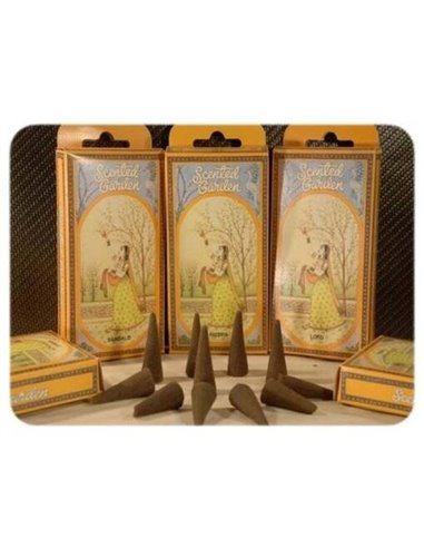 Incienso Cono Musk 12Uds. Scented Garden de Radhe Shyam