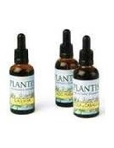 Extracto Gayuba Plantis 50 Ml de Artesania