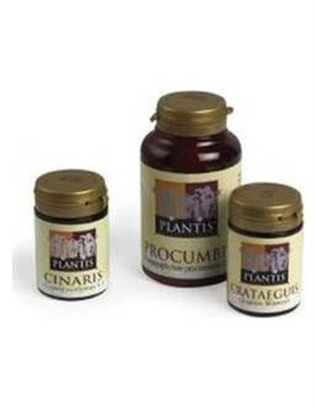 Cinaris Alcacho. Plantis 60Cap de Artesania