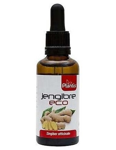 Ext. Jengibre Eco 50Ml. de Artesania