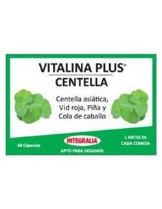 Base Definido 6A 60Comp. de Erlingen