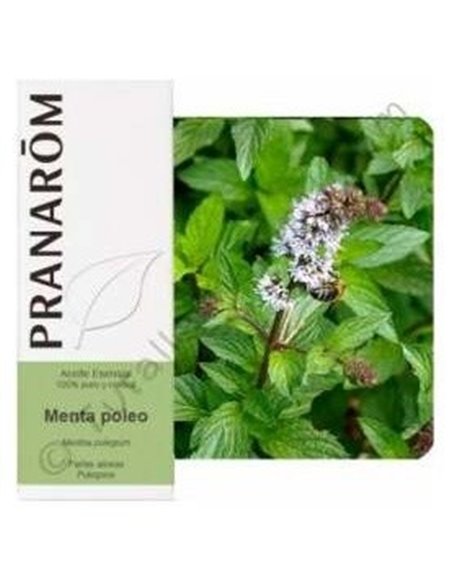 Menta Poleo Aceite Esencial Alimentario 10Ml. de Terpenic