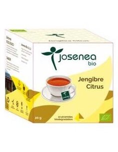 Jengibre-Citrus 10Piramides Ensobradas Bio de Josenea