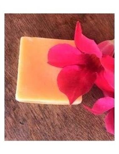 Acondicionador Solido Antifrizz 55Gr. de Nitx