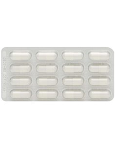 Ymea Silueta 64Cap. de Ymea