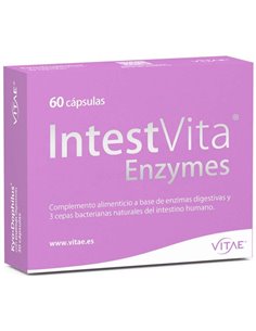 IntestVita Enzymes 60 cápsulas de Vitae