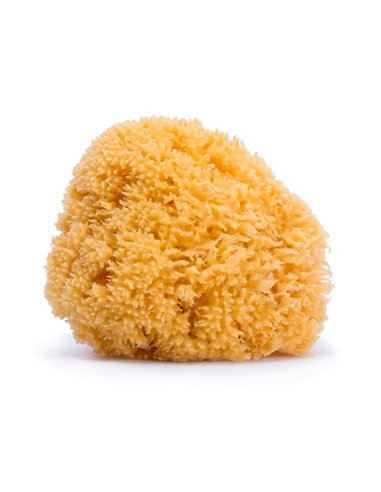 Esponja Natural Grande de Suavinex