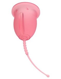 Enna Copa Menstrual Easy (S) 2Copas+Caja Ester+Apl de Enna Cycle 2