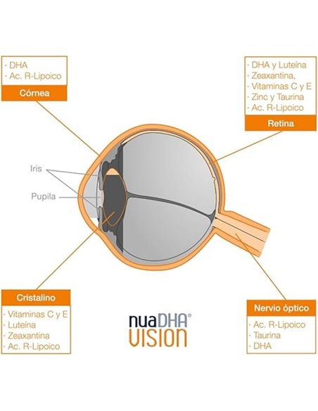 Nuadha Vision 60Cap. de Nua