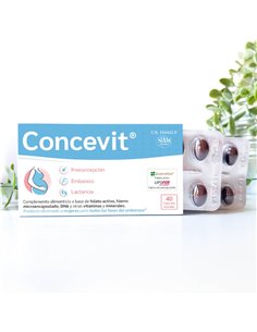Concevit Preconcepcion 40Cap. de Niam 2
