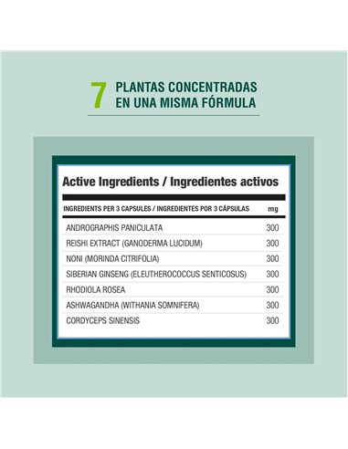 Immodulator 90 Cap de Adaptoheal