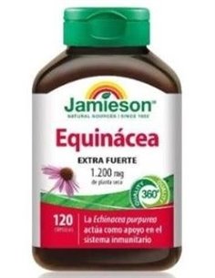 Echinacea Extra Fuerte 1200Mg. 120Cap. de Jamieson 2