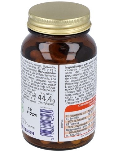 Mega Articular 60Cap. de Dietisa (Dielisa)