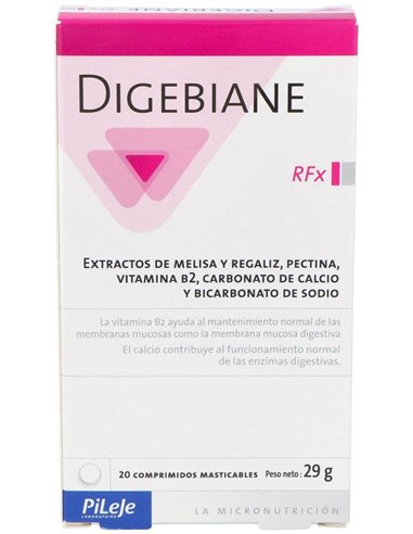 Digebiane Rfx 20 comp mast de Pileje