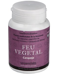 Feu Vegetal Digestion 90Cap. de Serpens 2