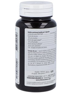 Physiomance Hp 60Cap. de Therascience 2