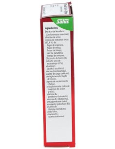 Floradix Hierro 84Comp Salus de Salus 2