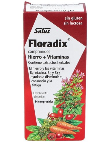 Floradix Hierro 84Comp de Salus