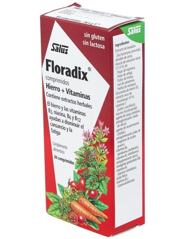 Floradix Hierro 84Comp de Salus