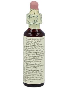 (03) Beech  de Bach 2