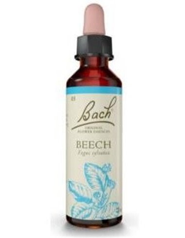(03) Beech  de Bach