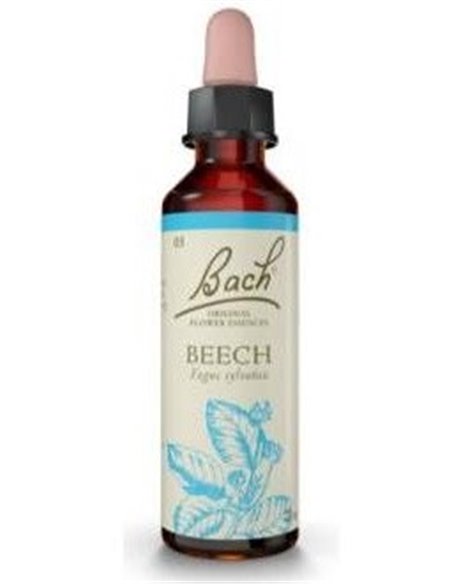 (03) Beech  de Bach