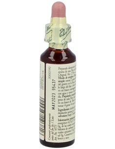 (05) Cerato  de Bach 2